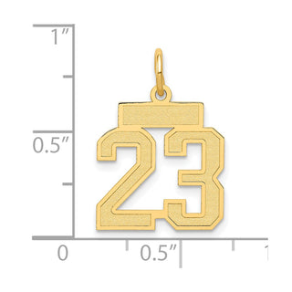 10K Yellow Gold Small Satin Number 23 Charm