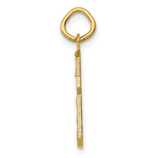 10K Yellow Gold Casted Medium Diamond-cut Number 6 Charm