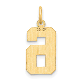 10K Yellow Gold Casted Medium Diamond-cut Number 6 Charm