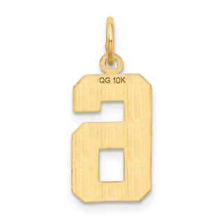 10K Yellow Gold Casted Medium Diamond-cut Number 6 Charm