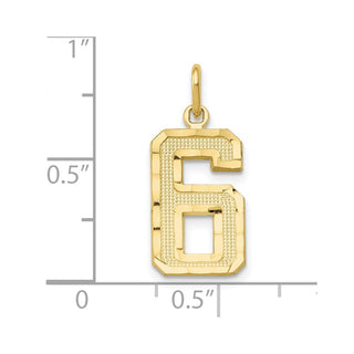 10K Yellow Gold Casted Medium Diamond-cut Number 6 Charm