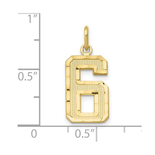 10K Yellow Gold Casted Medium Diamond-cut Number 6 Charm