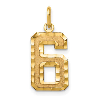 10K Yellow Gold Casted Medium Diamond-cut Number 6 Charm