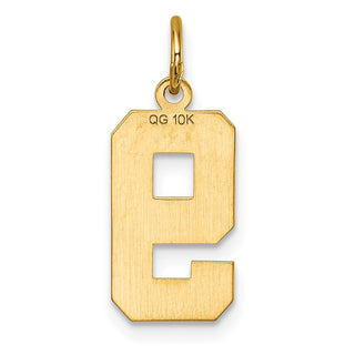 10K Yellow Gold Casted Medium Diamond-cut Number 9 Charm