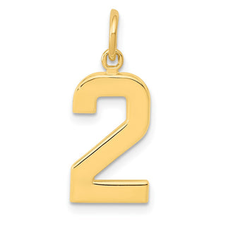 10K Yellow Gold Casted Medium Polished Number 2 Charm
