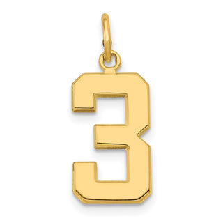 10K Yellow Gold Casted Medium Polished Number 3 Charm
