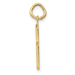 10K Yellow Gold Casted Medium Polished Number 6 Charm