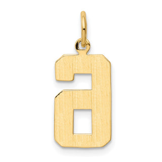 10K Yellow Gold Casted Medium Polished Number 6 Charm