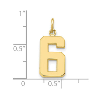 10K Yellow Gold Casted Medium Polished Number 6 Charm