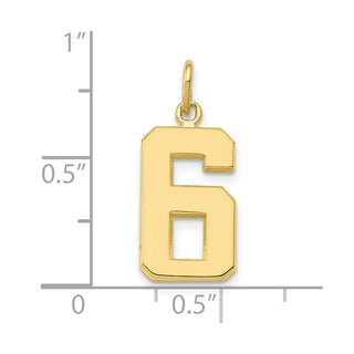 10K Yellow Gold Casted Medium Polished Number 6 Charm
