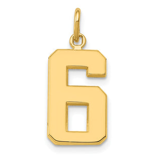10K Yellow Gold Casted Medium Polished Number 6 Charm