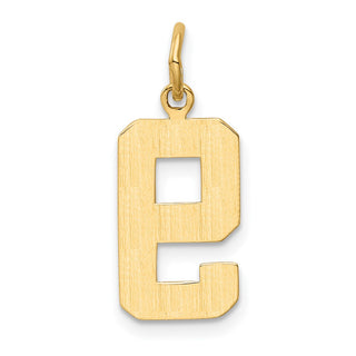 10K Yellow Gold Casted Medium Polished Number 9 Charm
