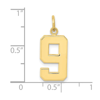 10K Yellow Gold Casted Medium Polished Number 9 Charm