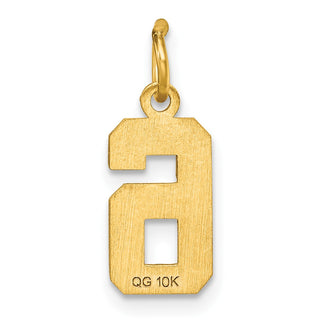 10K Yellow Gold Casted Small Diamond-cut Number 6 Charm