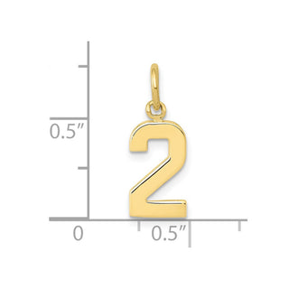 10K Yellow Gold Casted Small Polished Number 2 Charm