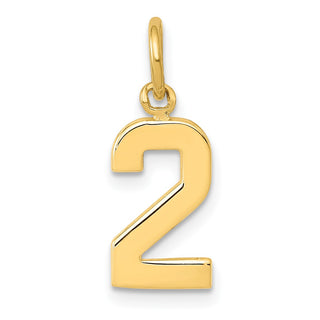 10K Yellow Gold Casted Small Polished Number 2 Charm