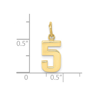 10K Yellow Gold Casted Small Polished Number 5 Charm