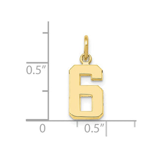 10K Yellow Gold Casted Small Polished Number 6 Charm