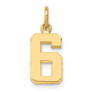10K Yellow Gold Casted Small Polished Number 6 Charm