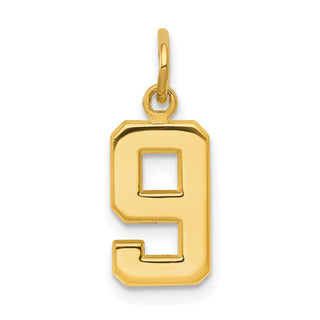 10K Yellow Gold Casted Small Polished Number 9 Charm
