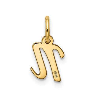 10K Yellow Gold Small Script Initial N Charm 10YC1556N
