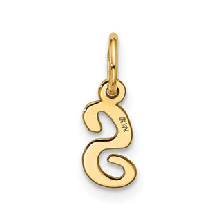 10K Yellow Gold Small Script Initial S Charm 10YC1556S