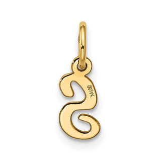 10K Yellow Gold Small Script Initial S Charm 10YC1556S