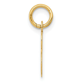10K Yellow Gold Small Script Initial S Charm 10YC658S