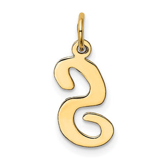 10K Yellow Gold Medium Script Letter S Initial Charm