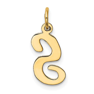 10K Yellow Gold Medium Script Letter S Initial Charm
