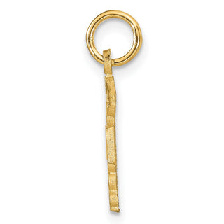 10K Yellow Gold Nurse Charm 10ZC433