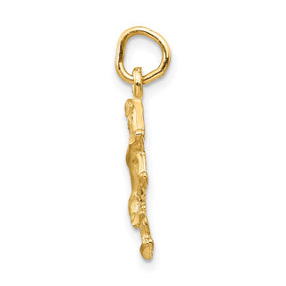10K Yellow Gold Leo Zodiac Charm 10ZC480