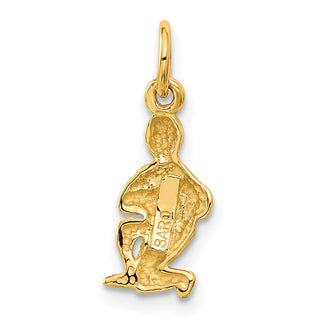 10K Yellow Gold Aquarius Zodiac Charm 10ZC486