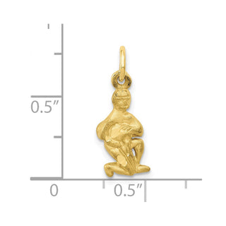 10K Yellow Gold Aquarius Zodiac Charm 10ZC486