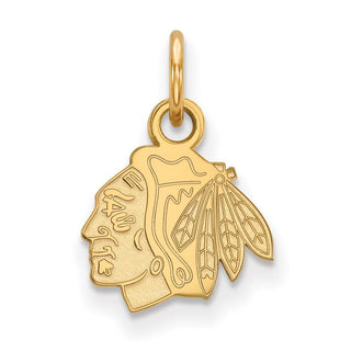 10k Gold NHL LogoArt Chicago Blackhawks Extra Small Pendant
