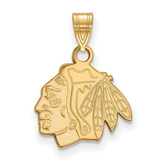 10k Gold NHL LogoArt Chicago Blackhawks Small Pendant