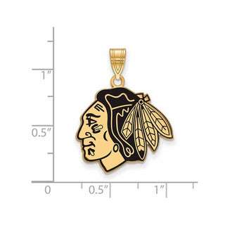 Sterling Silver Gold-plated NHL LogoArt Chicago Blackhawks Large Enameled Pendant
