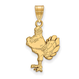 14k Gold LogoArt Virginia Tech HokieBird Large Pendant 4Y044VTE