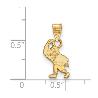 Sterling Silver Gold-plated LogoArt University of Iowa Hawk Mascot Small Pendant