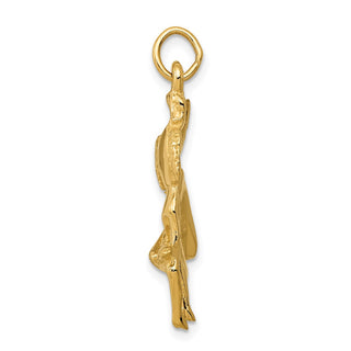 14k Yellow Gold Matador Charm