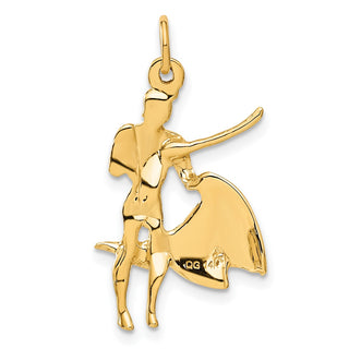 14k Yellow Gold Matador Charm