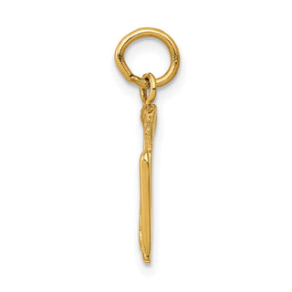 14k Yellow Gold RN Registered Nurse Charm