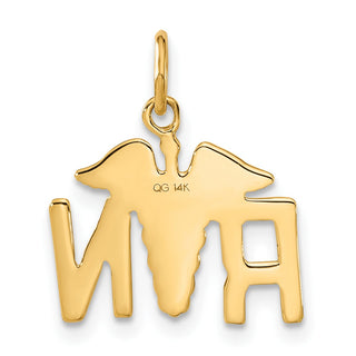 14k Yellow Gold RN Registered Nurse Charm
