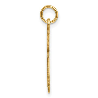 14k Yellow Gold Large M.D. Caduceus Charm