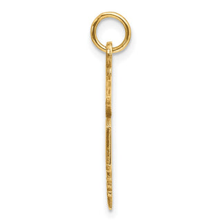 14k Yellow Gold Large M.D. Caduceus Charm