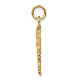 14k Yellow Gold Nurse Symbol Charm