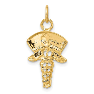 14k Yellow Gold Nurse Symbol Charm
