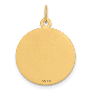 14k Yellow Gold Caduceus Disc Charm