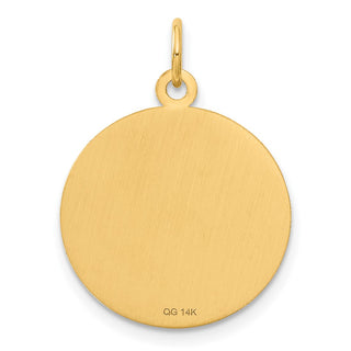 14k Yellow Gold Caduceus Disc Charm