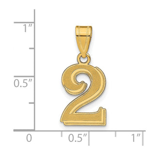 14k Yellow Gold Polished Etched Number 2 Pendant